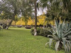 -四川大学(望江校区)