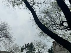 -白云观