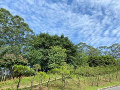 -白云山风景名胜区
