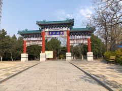 -云岗森林公园