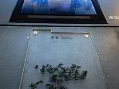 -鸿山遗址博物馆