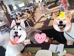 -厦门艾美酒店·新食谱西餐厅