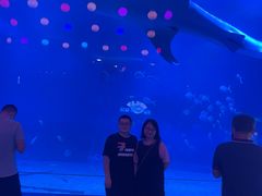 -烟台海昌鲸鲨海洋公园