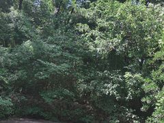 -陶祖圣境风景区