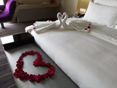 -青岛富力艾美酒店