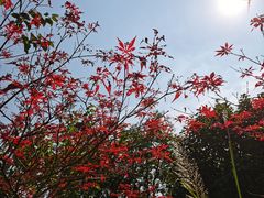 -梁鸿国家湿地公园