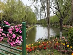 -上海鲜花港