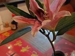 -粥六•新晋菜(柳巷店)