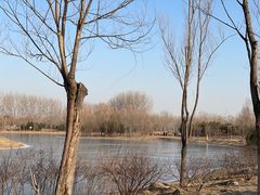 -东郊湿地公园