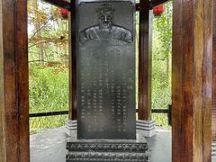 -合肥滨湖国家森林公园