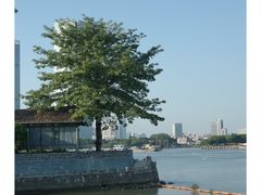 -喜洲吧·江畔老船厂·庭院餐厅(喜临院店)