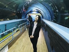 -悉尼海洋生物水族馆
