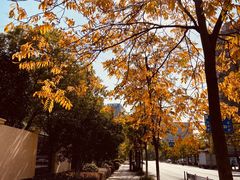 -杭州电子科技大学(下沙校区)