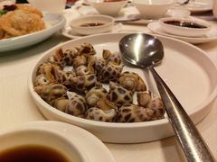 白灼花螺-金悦轩海鲜城(渔人码头店)