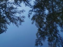 -卡马拉海滩