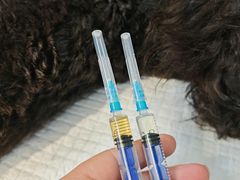 -宠颐生斯嘉宠物医院·急重症·心内科(谷阳北路分院)