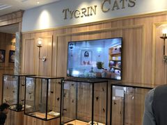 -袖虎·猫馆(体育西路店)