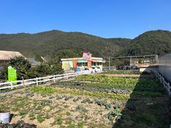 -宁波九龙湖开元度假村