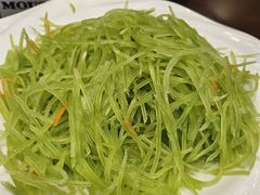-丽苑大酒店