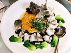 古法蒸龙胆鱼-樱苑(四川北路店)