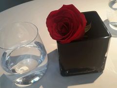 -BLACKSWAN黑天鹅(环球店)