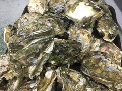 -大富蚝乌东哥饭店·石锅鱼杂·柠檬鸭(革新路店)