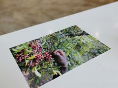 -VOYAGE COFFEE(杨梅竹店)