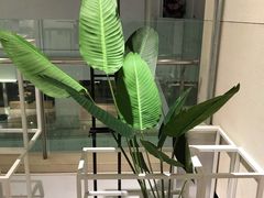 -叶子与茶(苏宁广场店)