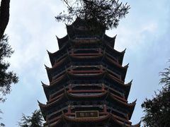 -金水泊山庄·花椒鸡(铁山坪店)