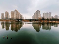 -前关湿地公园