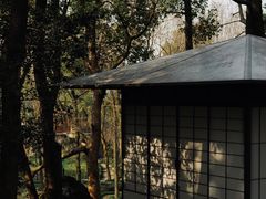 -中国茶叶博物馆(双峰馆区)
