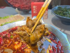 -渝大龙重庆火锅(温泉月亮湾店)