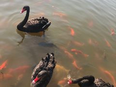 -春晖园度假酒店温泉