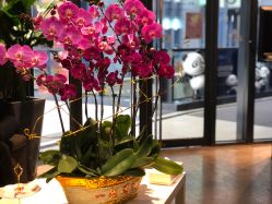 -Kraemer Paris  苏豪路易士·嘉玛发廊