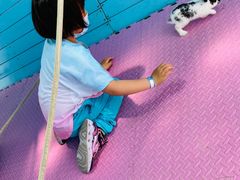 -季高兔窝窝亲子园(上海薰衣草公园店)