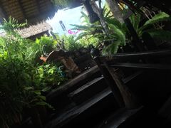 -自然餐厅(Phuket)