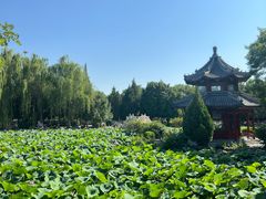 -莲池书院博物馆