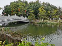 -映月湖公园