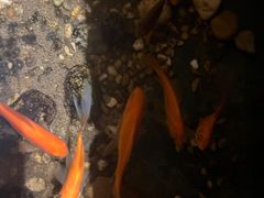 -邈墨茶馆(凤起路店)