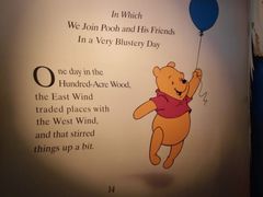 -小熊维尼历险之旅