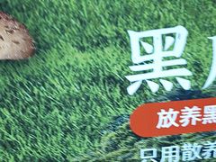 -北大荒人•新东北菜(青岛银座店)