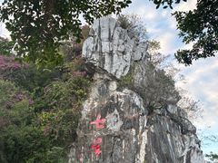 -星湖旅游景区七星岩