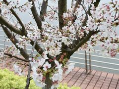 -闻泰花园酒店