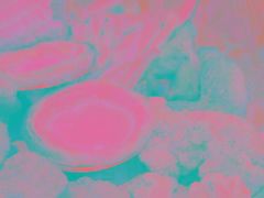 -乡村基(双流时代奥特莱斯餐厅)