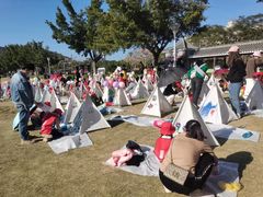-风云岭森林公园