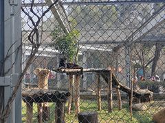 -合肥野生动物园
