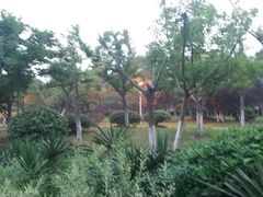 -暨阳湖生态园
