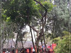 -成都武侯祠博物馆