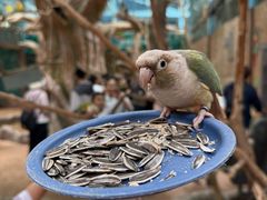 -石家庄市动物园