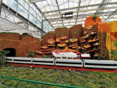 -兰陵国家农业公园